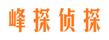 正定市婚外情调查